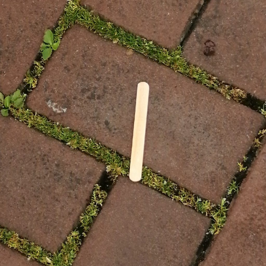 icecreamstick