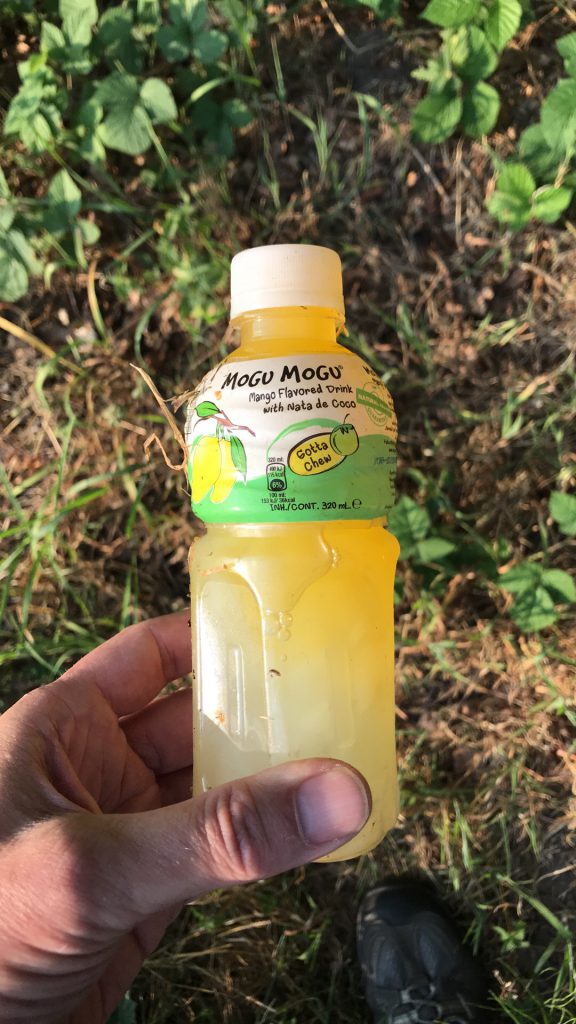 mogu